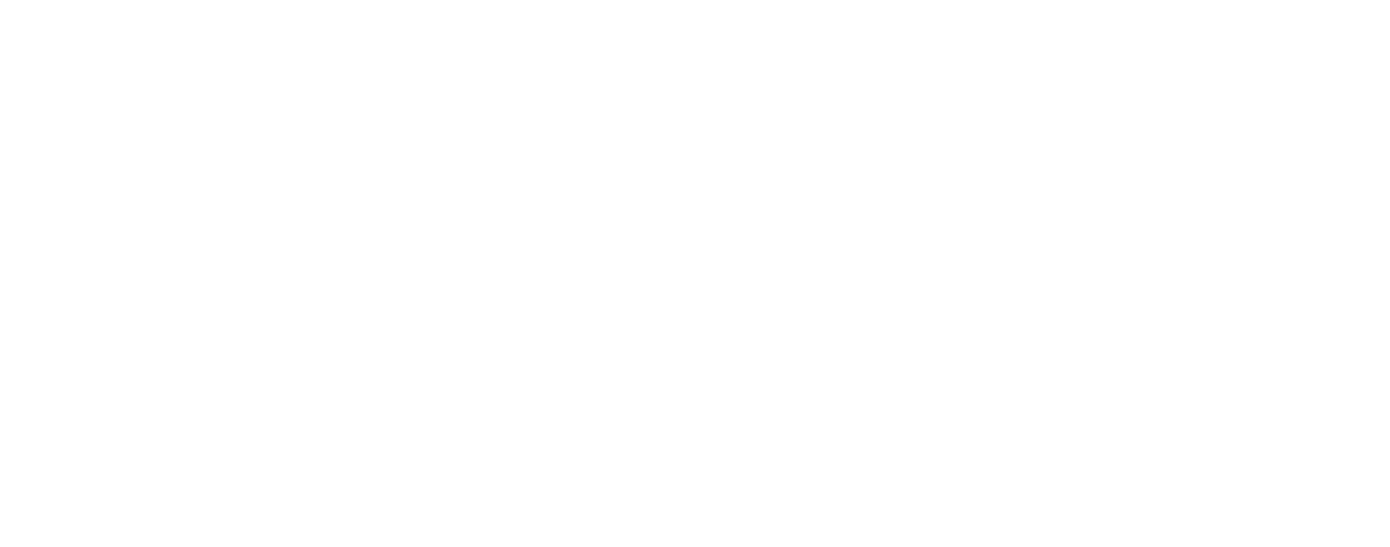Hairstudio Stylizz